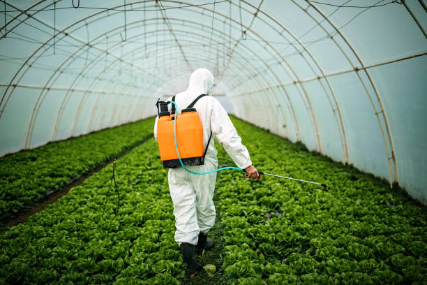 Pest Prevention Services in Royalton, MN