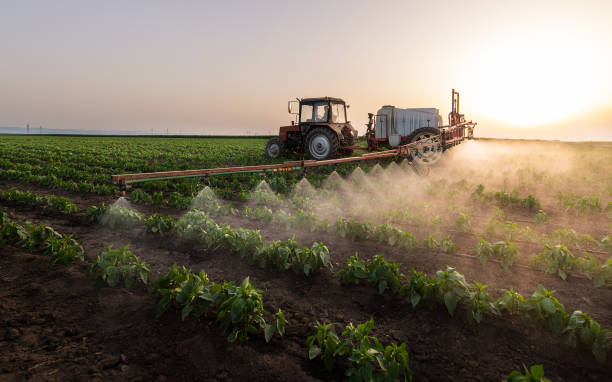 Pest Control Cost in Royalton, MN